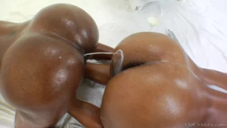 BLACK SE CHIENT DU LAIT DESSUS